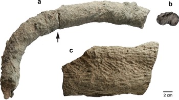 Figure 13