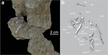 Figure 7