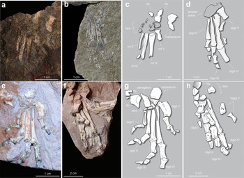 Figure 15