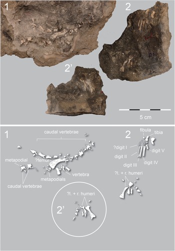Figure 9