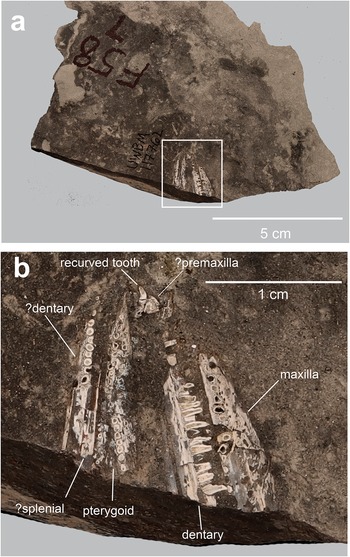Figure 12