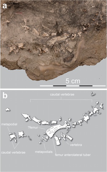 Figure 10