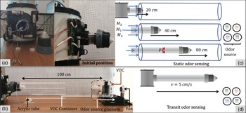 Figure 9