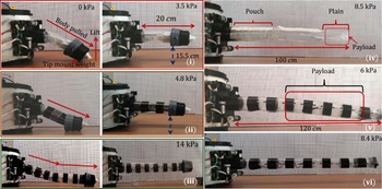 Figure 13