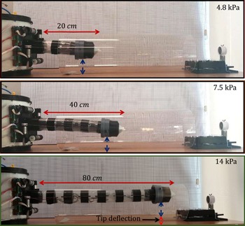 Figure 15
