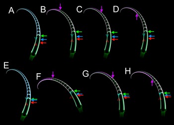 Figure 8