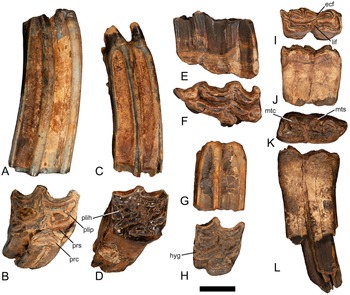 Figure 11