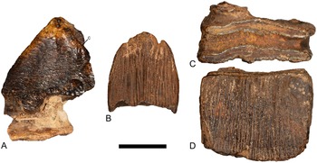 Figure 16