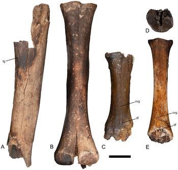 Figure 13