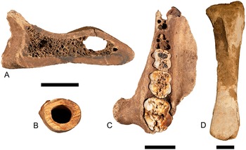 Figure 18