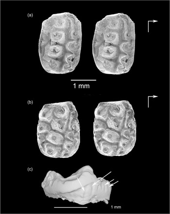 Figure 7