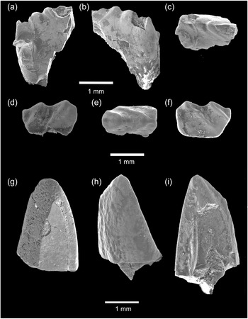 Figure 9