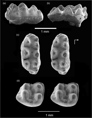 Figure 6