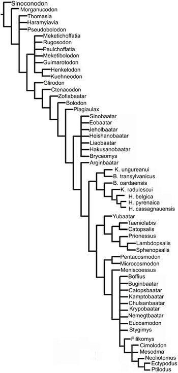 Figure 13