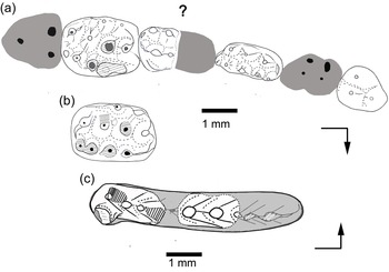 Figure 10
