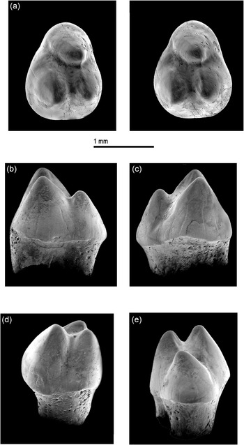 Figure 5