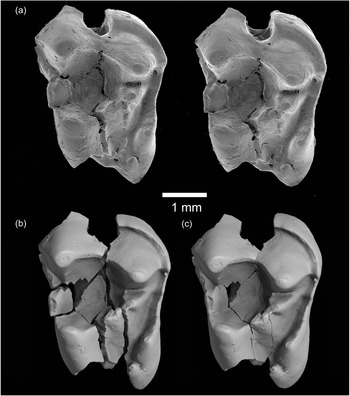 Figure 14