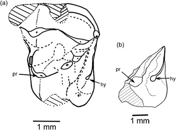 Figure 16