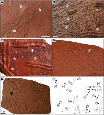 Figure 10