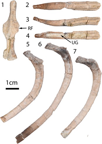 Figure 4