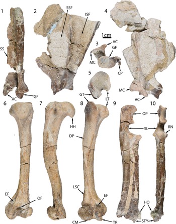 Figure 5