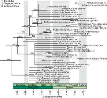 Figure 4