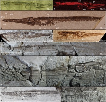 Figure 2