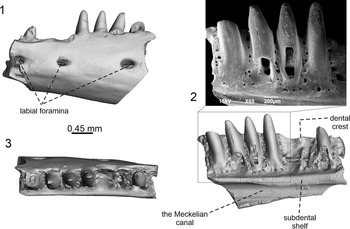 Figure 2