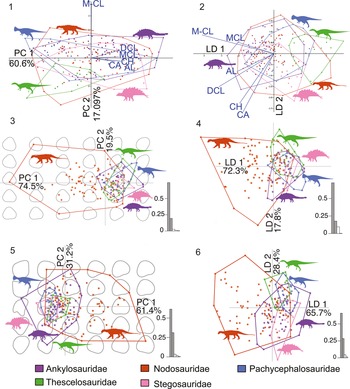 Figure 12