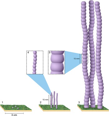 Figure 8