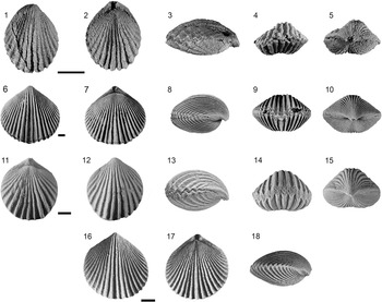 Figure 10