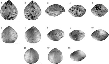 Figure 11