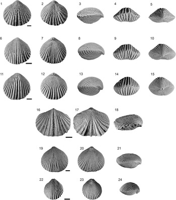 Figure 7