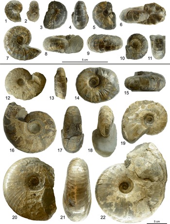 Figure 9