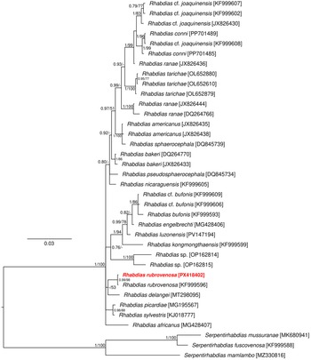Figure 2