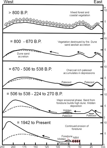 Figure 11