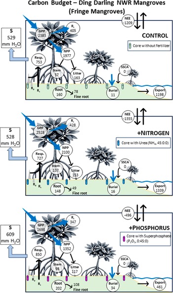 Figure 9