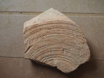 Figure 26