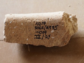 Figure 30