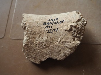 Figure 31