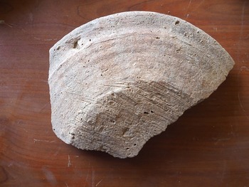 Figure 25