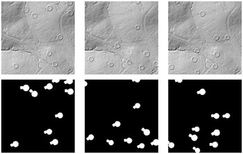 Figure 6