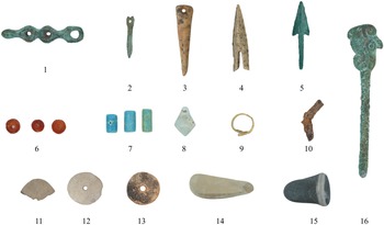 Figure 1