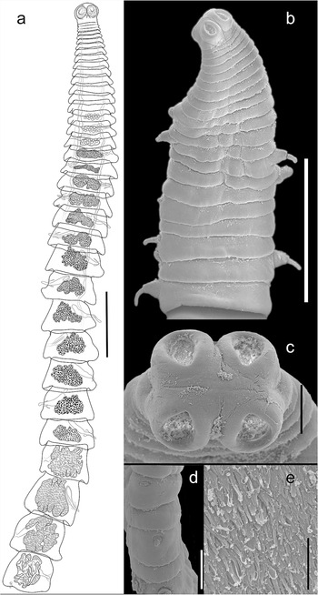 Figure 0