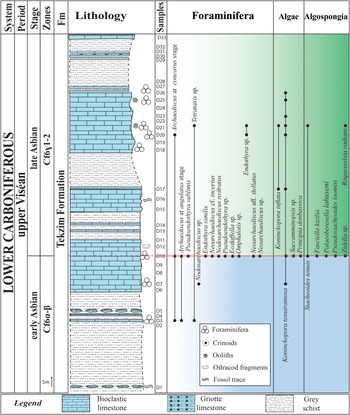 Figure 9