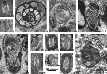 Figure 12