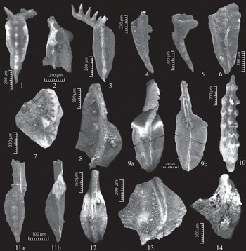 Figure 15