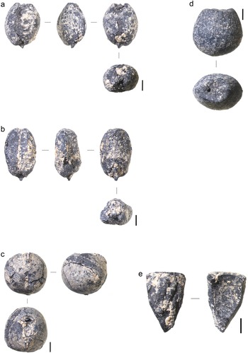 Figure 24