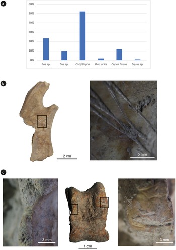 Figure 25