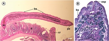 Figure 0